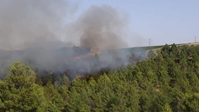 Incendio in zona Rampinzeri