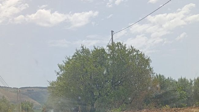 Fraginesi e cimitero, a Castellammare interventi di pulizia e decoro