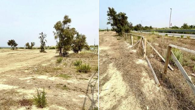 colmata-una-nuova-idea-di-costa-dalla-scerbatura-alla-passeggiata-sul-mare