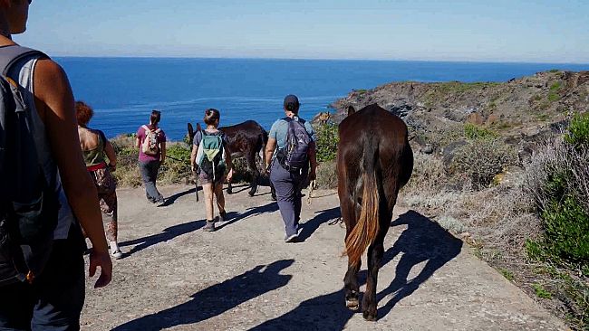 il-progetto-ecosostenibile-pantelleria-asinabile-alla-fiera-cavalli-di-verona
