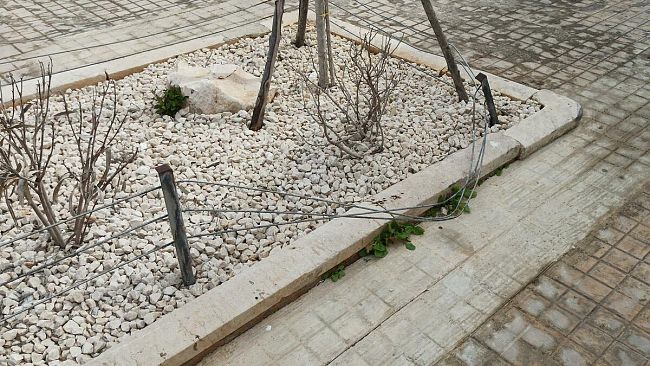 Giardino di Sidonia, danneggiata parte della barriera di protezione