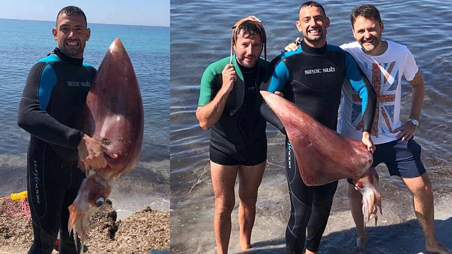 Mazara, insolito incontro con un calamaro gigante da parte di appassionato subacqueo