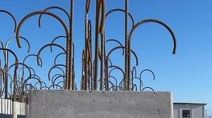 Egadi, area marina protetta, dimezzato lo strascico illegale sotto costa