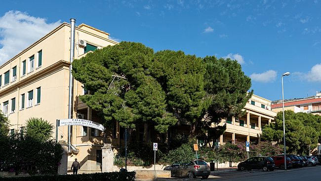 ortopedia-alla-villa-dei-gerani-1065-interventi-di-protesi-in-3-anni-cresce-luso-del-robot-rosa-knee