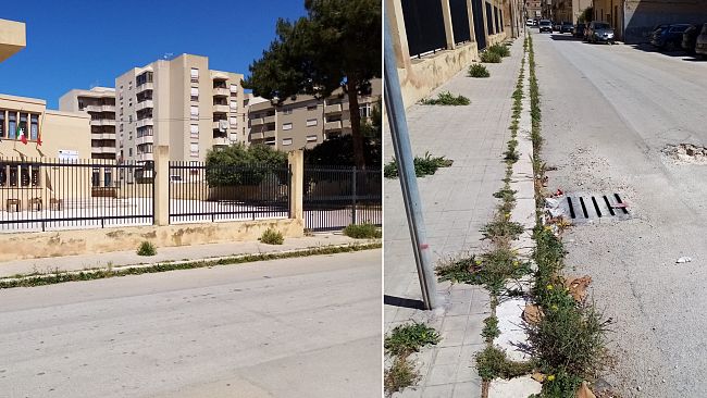 Trapani. Trascurata l’area intorno al plesso Vitocolonna