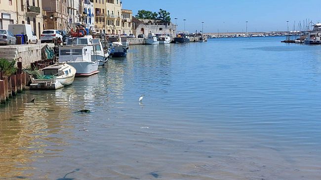 Dragaggio del porto canale di Mazara… Come il passo del gambero