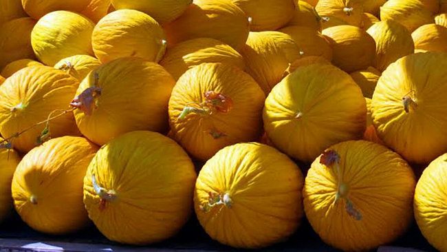 GIBELLINA – La notte gialla – Sagra del melone giallo di Gibellina