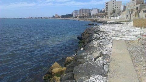 Mazara, Ostreopsis ovata: interrogazione del Consigliere La Grutta (M5S)