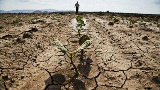 Crisi idrica in Sicilia: avanti le interlocuzioni per lo stato di emergenza