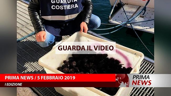 Prima News, 5 Febbraio, Prima edizione