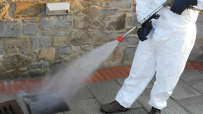 Paceco, al via interventi di derattizzazione e disinfestazione