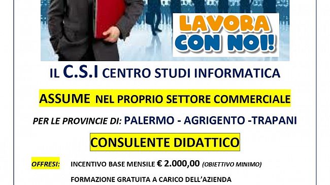 Offerta di lavoro a Castelvetrano come consulente didattico
