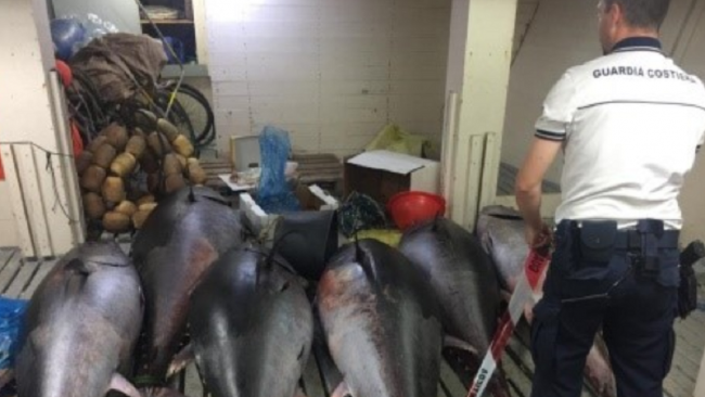 Trapani, sequestrati oltre 700 kg di tonno rosso privo di tracciabilità