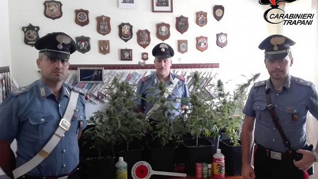 Castellammare del Golfo, Carabinieri trovano una coltivazione di marijuana. Un arresto