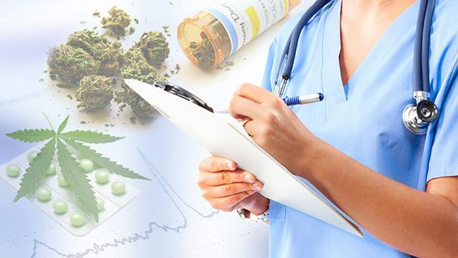 Salemi, il consiglio comunale approva mozione sulla cannabis terapeutica