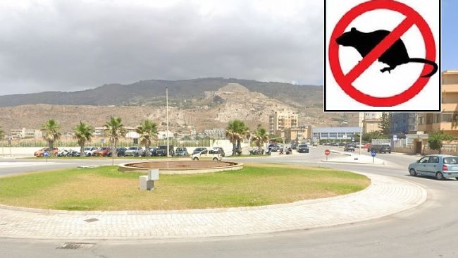 ​Erice. Al via quinta derattizzazione, il Comune raccoglie segnalazioni