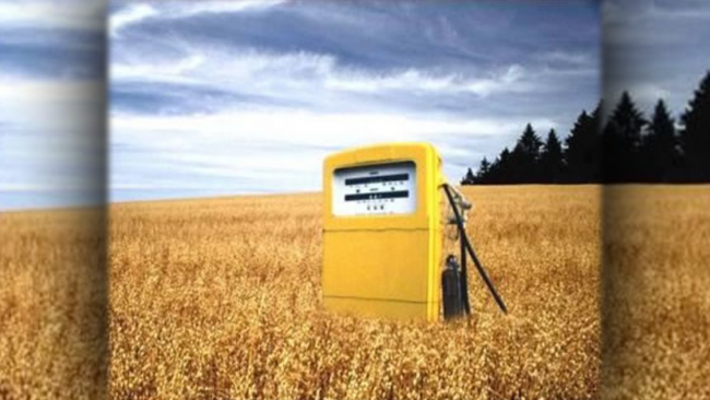 Ultime della sera: “Energia…positiva; la ripresa!”