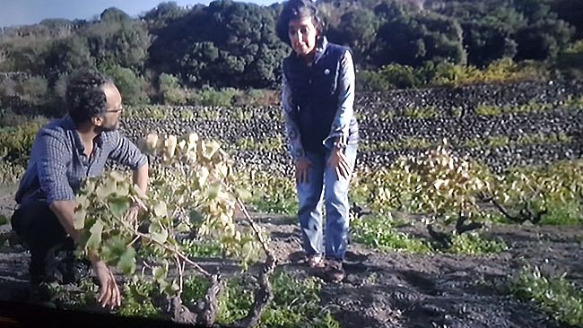L'Isola di Pantelleria protagonista de 