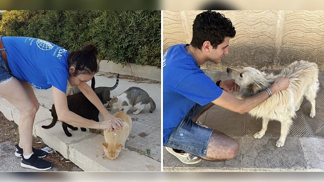 Trapani. Volontari OIPA in strada per applicare antiparassitari a cani e gatti senza casa