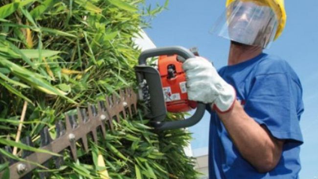 Mazara, interventi di sistemazione aree a verde e strade