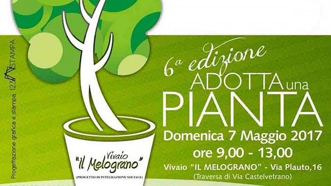 Mazara, Adotta una pianta 2017: Si rinnova l’appuntamento al vivaio ‘Il Melograno’