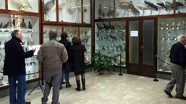 Mazara, inaugurate le nuove sale del museo ornitologico
