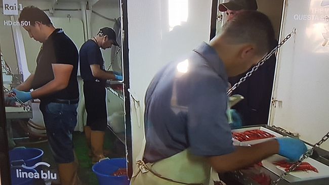 Il gambero rosso di Mazara protagonista di Linea Blu su Rai1