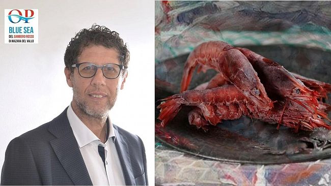 L’OP “Blue del Gambero Rosso di Mazara ottiene il riconoscimento dal MASAF