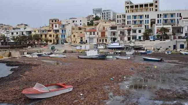 Il caso del porto di Marinella di Selinunte approda all'Ars