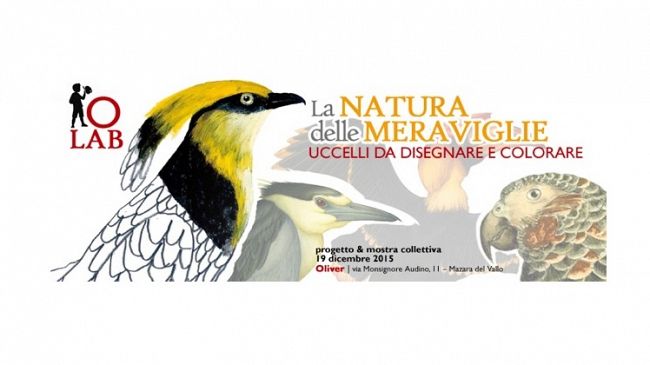 Oliver Lab: La natura delle meraviglie – uccelli da disegnare e colorare