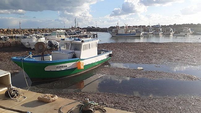 “Quattro chiacchiere con…Baldo Puzzo (pescatore)”