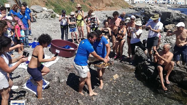 Marettimo celebra la giornata dedicata alle tartarughe marine