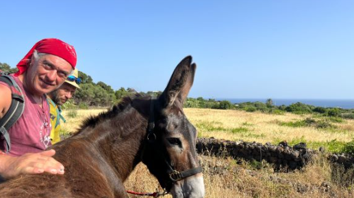 ​L'Ente Parco Nazionale Isola di Pantelleria avvia percorso di formazione per interventi assistiti con asini panteschi