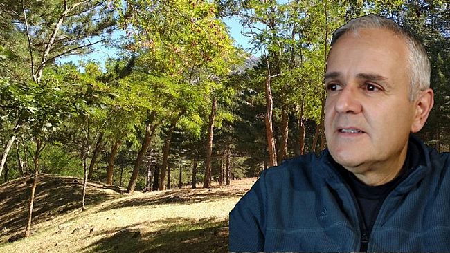 Antonio David: Tutti vogliono fare una buona riforma forestale ma..