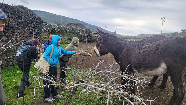 Gli esperti a Pantelleria per la formazione sulle attività con gli asini