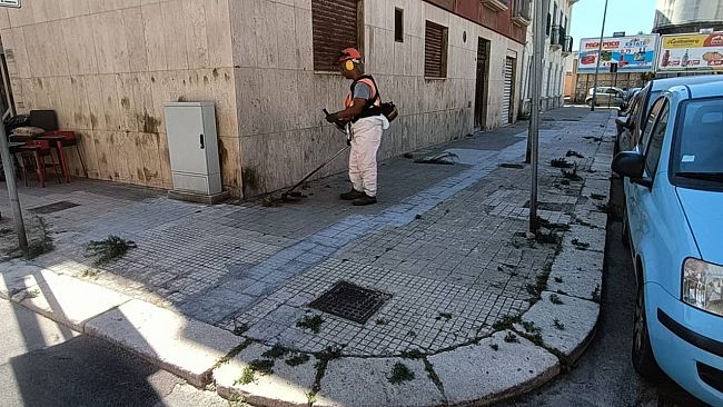 Trapani, lavori di scerbatura in corso in città