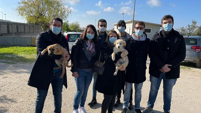 “Vietare i botti di Capodanno per tutelare persone e animali”. Appello della Lega Giovani provincia di Trapani