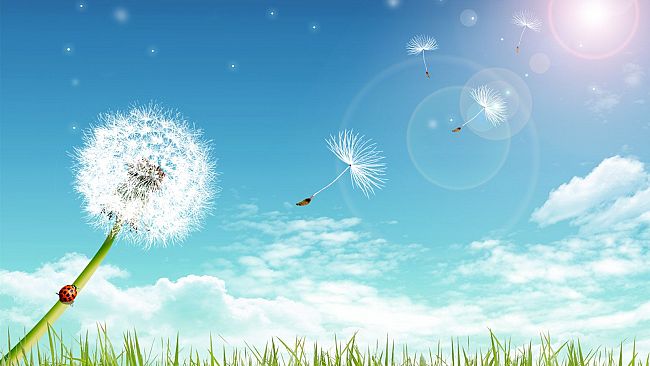 La vita è un soffio, imparate ad amare e a non sprecare il tempo