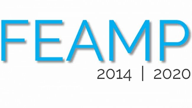 Bando FLAG – FEAMP 2014-2020 – Avviso pubblico di attuazione priorità 4
