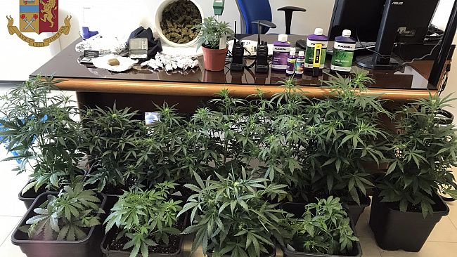 Arresto in flagranza di due cittadini mazaresi per coltivazione e produzione di marijuana