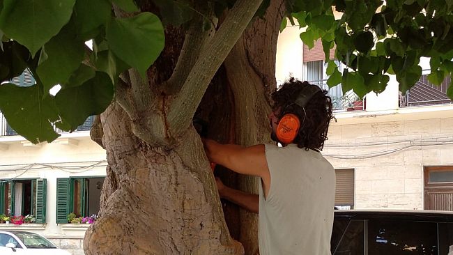 Trapani, in corso intervento a tutela delle eritrine