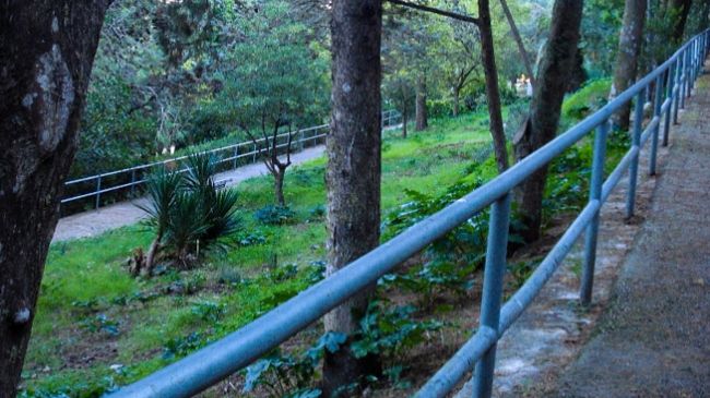 valderice-al-via-pulizia-nella-pineta-comunale