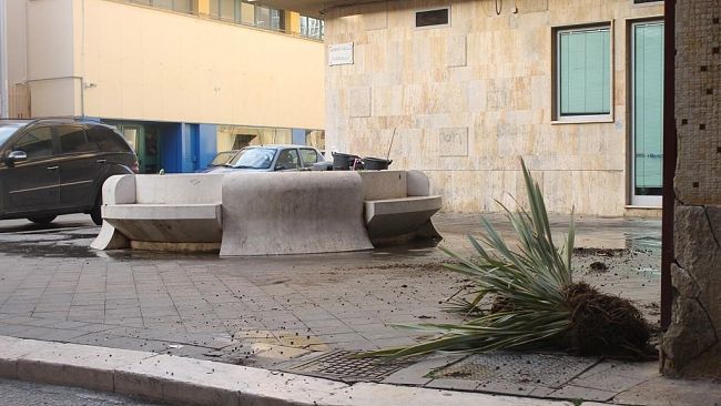 Piante sradicate in largo Figurella…“O tempora, o mores”.