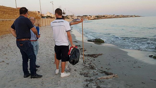 VIDEO – Svelato mistero delle interiora a pochi metri dalla spiaggia: sarebbero resti di un pesce