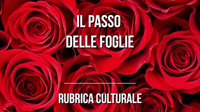 [POESIA] “Ancora un’altra carezza” di Enzo Catania – Il Passo delle Foglie