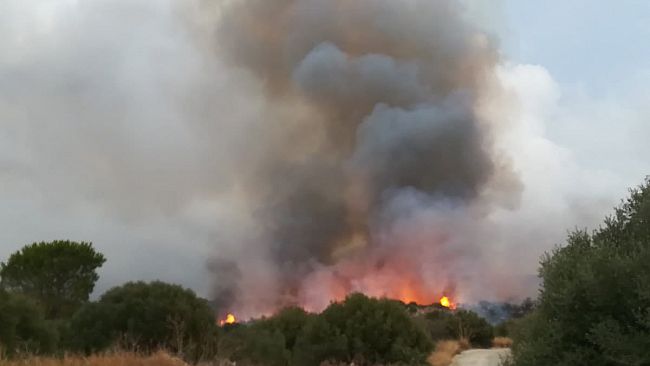 Valderice, grosso incendio in località Xiare