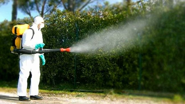 Marsala. Interventi di disinfestazione in città