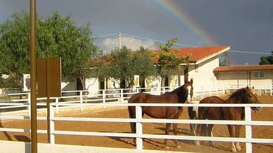 L'Aias plaude alla proposta accolta dall'amministrazione comunale del nuovo piano di emergenza