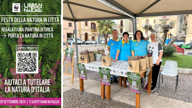 Partanna, WWF, festa della natura in città: la Misericordia di Partanna in piazza per l'Ambiente