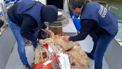 Mazara, sequestrati dalla Guardia di Finanza circa 100kg di novellame di sarda